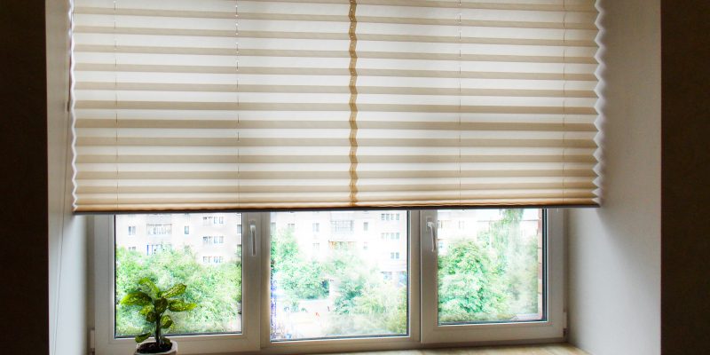 What You Need to Know About Honeycomb Shades